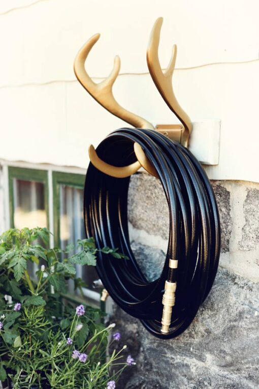 black hose gold antler mount