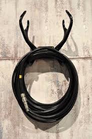 black hose black antler reindeer mount