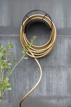Color Garden Hose Gold & Black Antler Hook