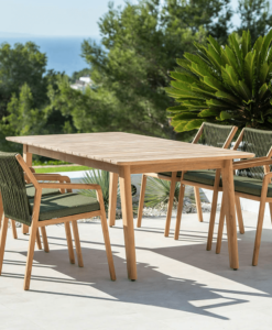 Teak dining Chair - outdoor- luxury